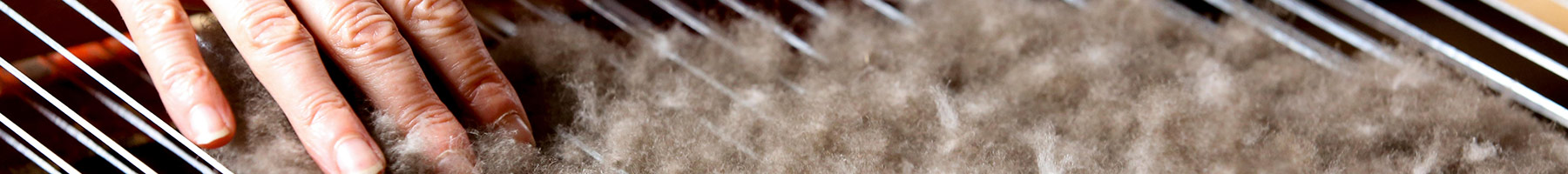 a woman demonstrating eiderdown processing