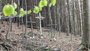 crosses Jesus Christ Easter Grave nature Sacrifice 2