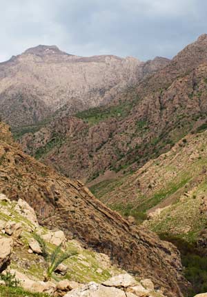 Mountains in Iraq