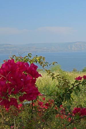 Vista del Mar de Galilea desde el Monte de las Bienaventuranzas. Fuente: Wikimedia Commons