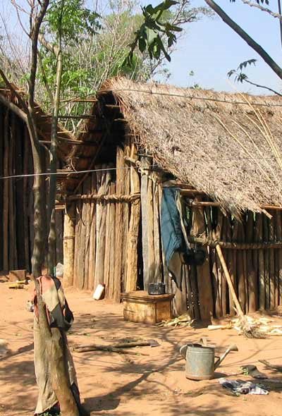Hut in Paraguay
