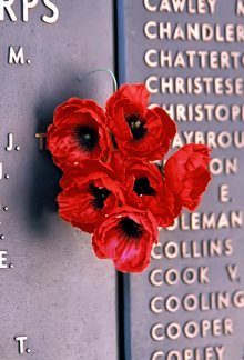 red poppies at the Vietnam War Memorial