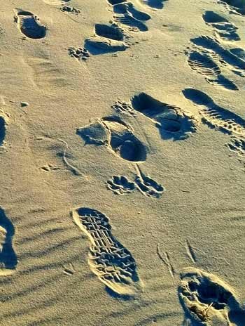 Footprints in sand, Parque del Plata, Uruguay