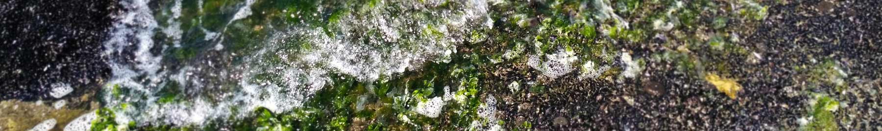 Small wave on a gravel beach