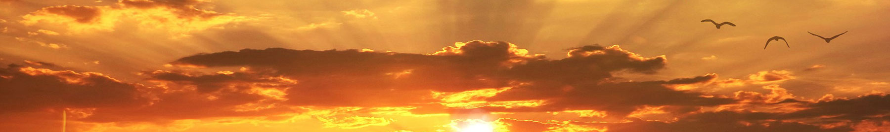 Sunset over a wheat field