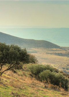 View from the hills of Galilee