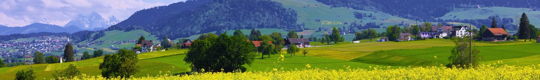 Mountain Village