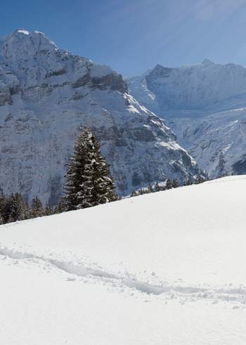 tracks in the snow in the Alps