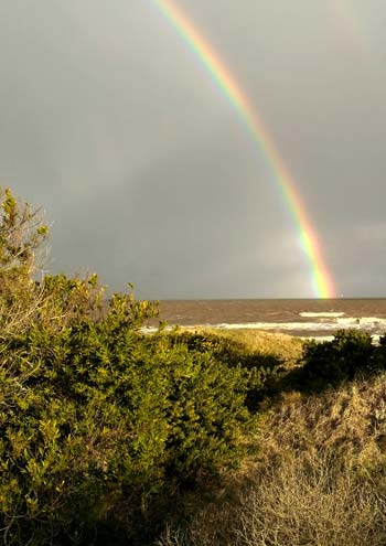 Rainbow over the Ocean