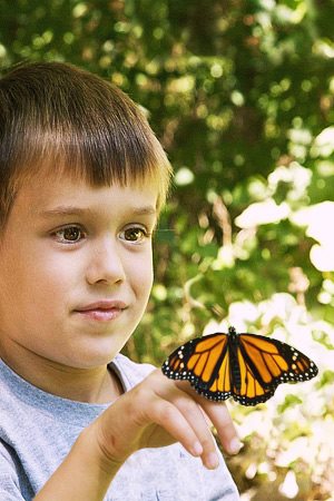 boy holding monarch butterfly
