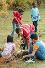 children planting trees