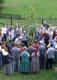 Circle of people planting a tree together