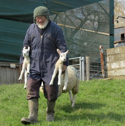 Heiner with two lambs under his arms