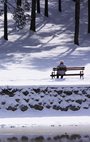 elderly person on a park bench alone