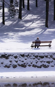 elderly person on a park bench alone