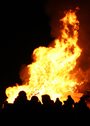 bonfire and people