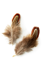 Feathers