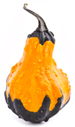 Yellow and dark green knobbly gourd