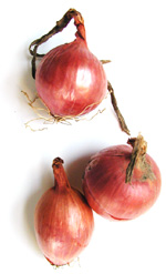 onions
