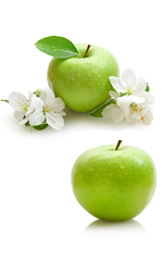 apple4