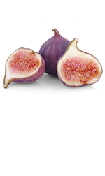 fig2