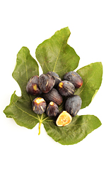 figs2