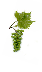 green grapes