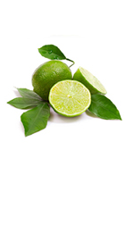 lime3