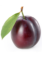 plum1