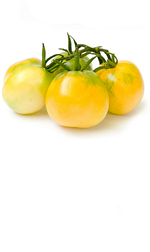 tomatoe1