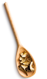 spoon