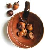 a wooden bowl holding several acorns and a black feather