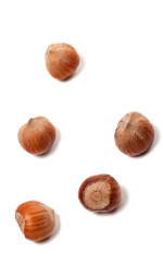 Brown hazelnuts