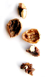 Cracked nuts