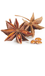 star shaped anise seed pods