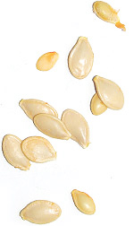 pumpkin seeds