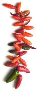 Peppers