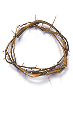 crown of thorns