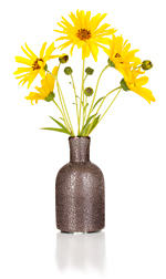 yellowflowers3