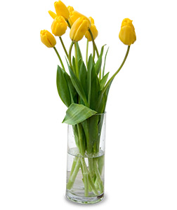 a vase of yellow tulips