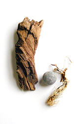 Driftwood