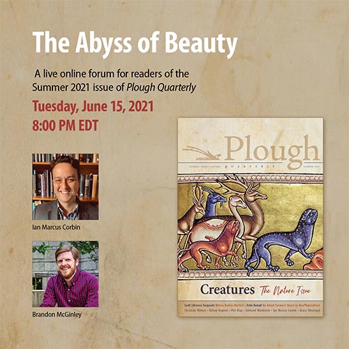 Abyss of Beauty event invitation