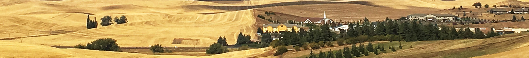 city of Moscow, Idaho surrounded by farm fields