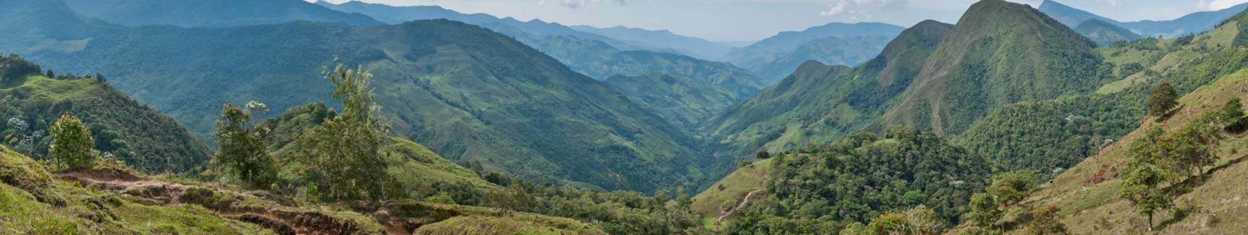 Panorama of the Andes Mountains