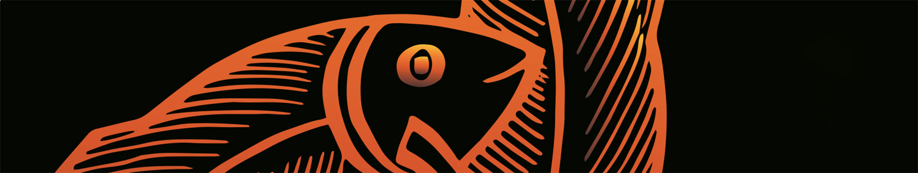 orange fish on a black background