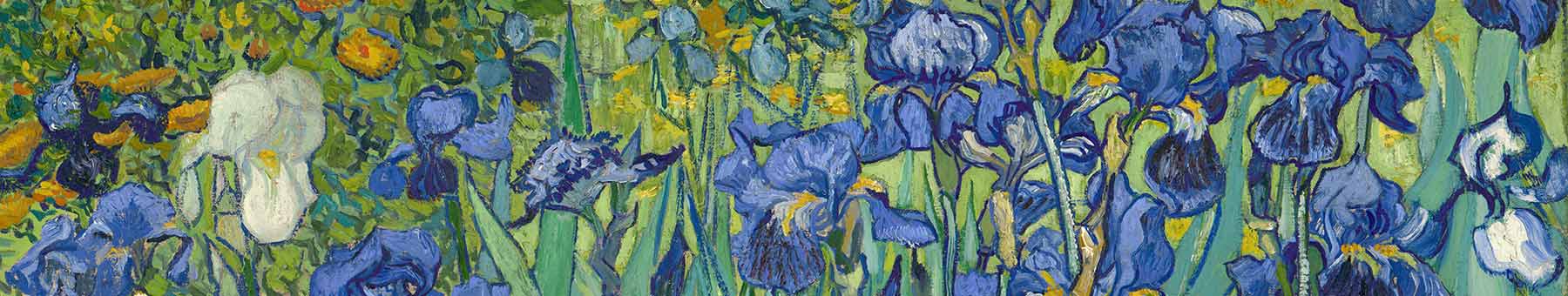 Irises painted by Van Gogh