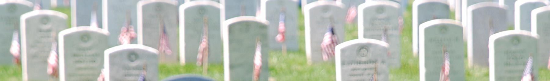 blurred image of gravestones in Arlington National Cemetary