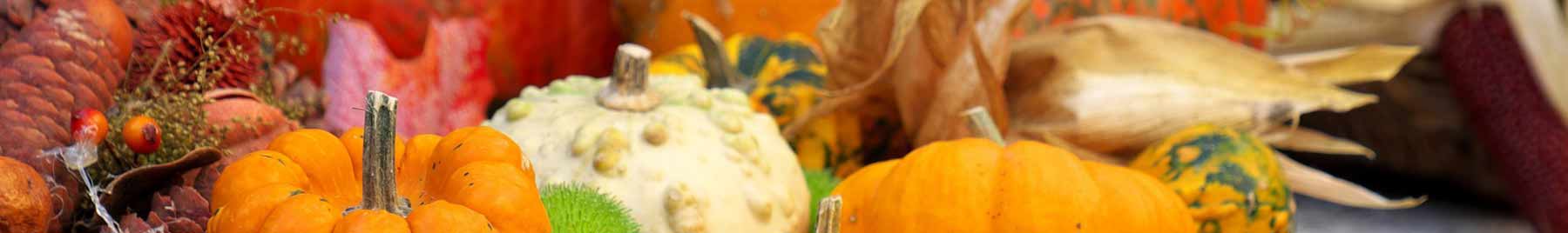 Autumn pumpkins, squash and pinecones
