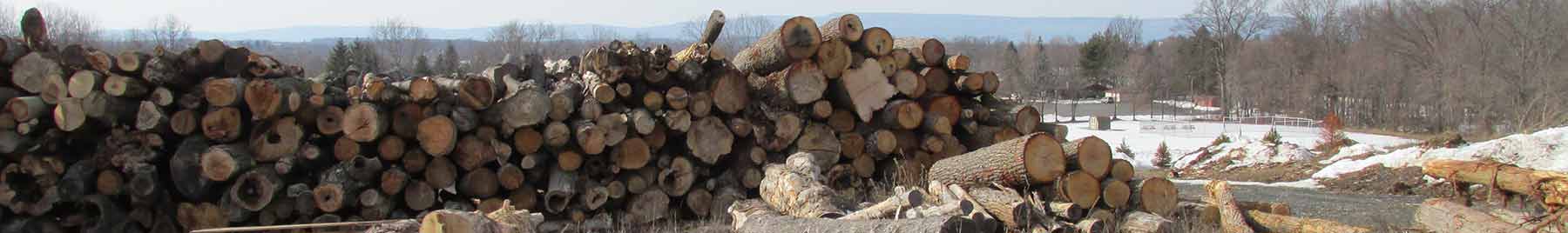 stack of large logs