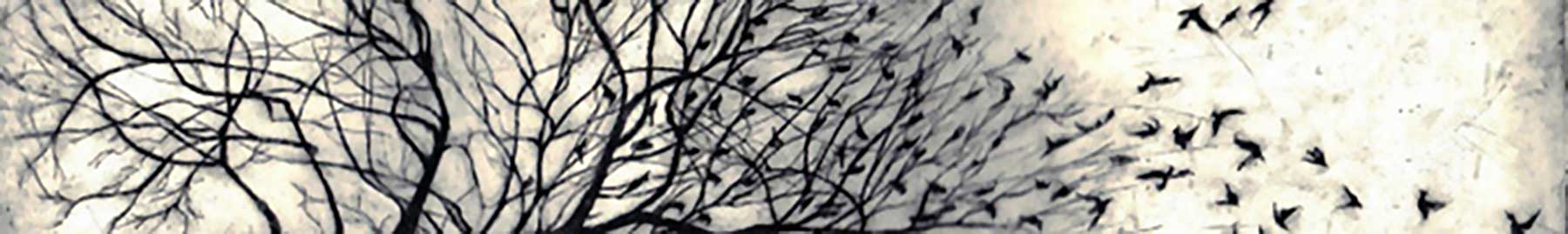 silhouette of flock of birds in a tree